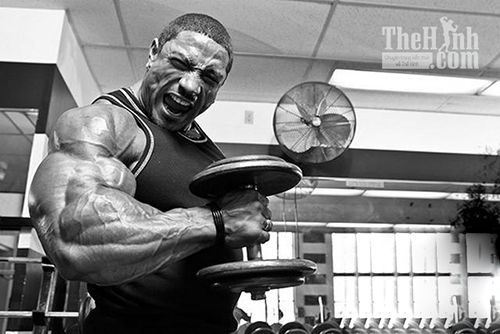 Hướng dẫn tập tay trước, tay sau to và hiệu quả từ Roelly Winklaar