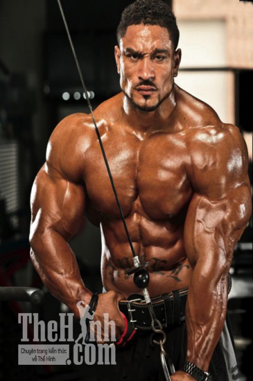 Hướng dẫn tập tay trước, tay sau to và hiệu quả từ Roelly Winklaar