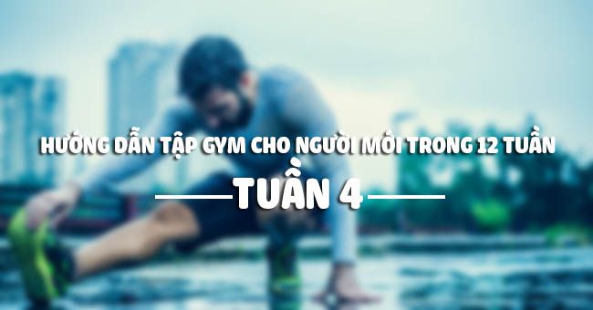 Hướng dẫn tập thể hình cho người mới trong 12 tuần – Tuần 4