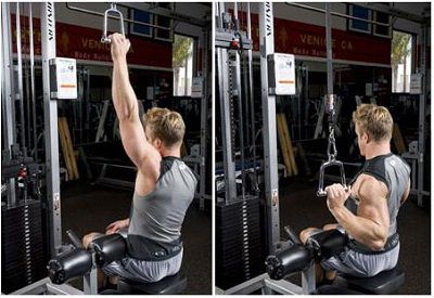 Lat Pulldown – Bài tập thể hình cho cơ xô