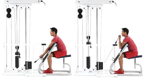 Lịch tập gym cho người mới bắt đầu để tập trong tháng đầu tiên