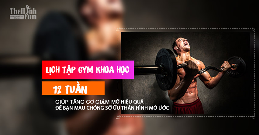 Lịch tập gym khoa học cho nam trong 12 tuần – Tuần 7