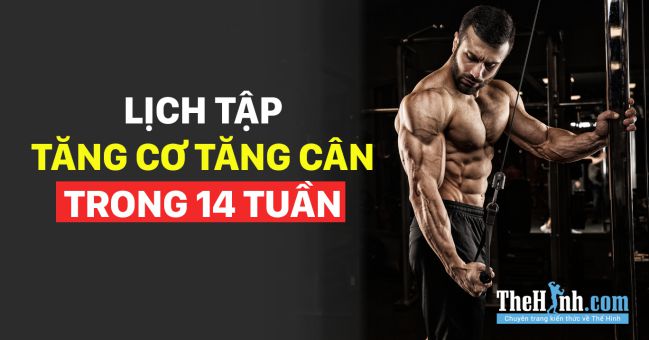 Lịch tập gym tăng cân cho nam 6 buổi 1 tuần trong 14 tuần (P2)