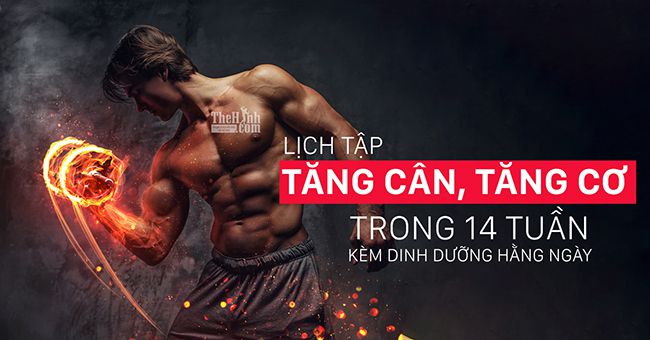 Lịch tập gym tăng cân tăng cơ cho nam trong 14 tuần kèm dinh dưỡng