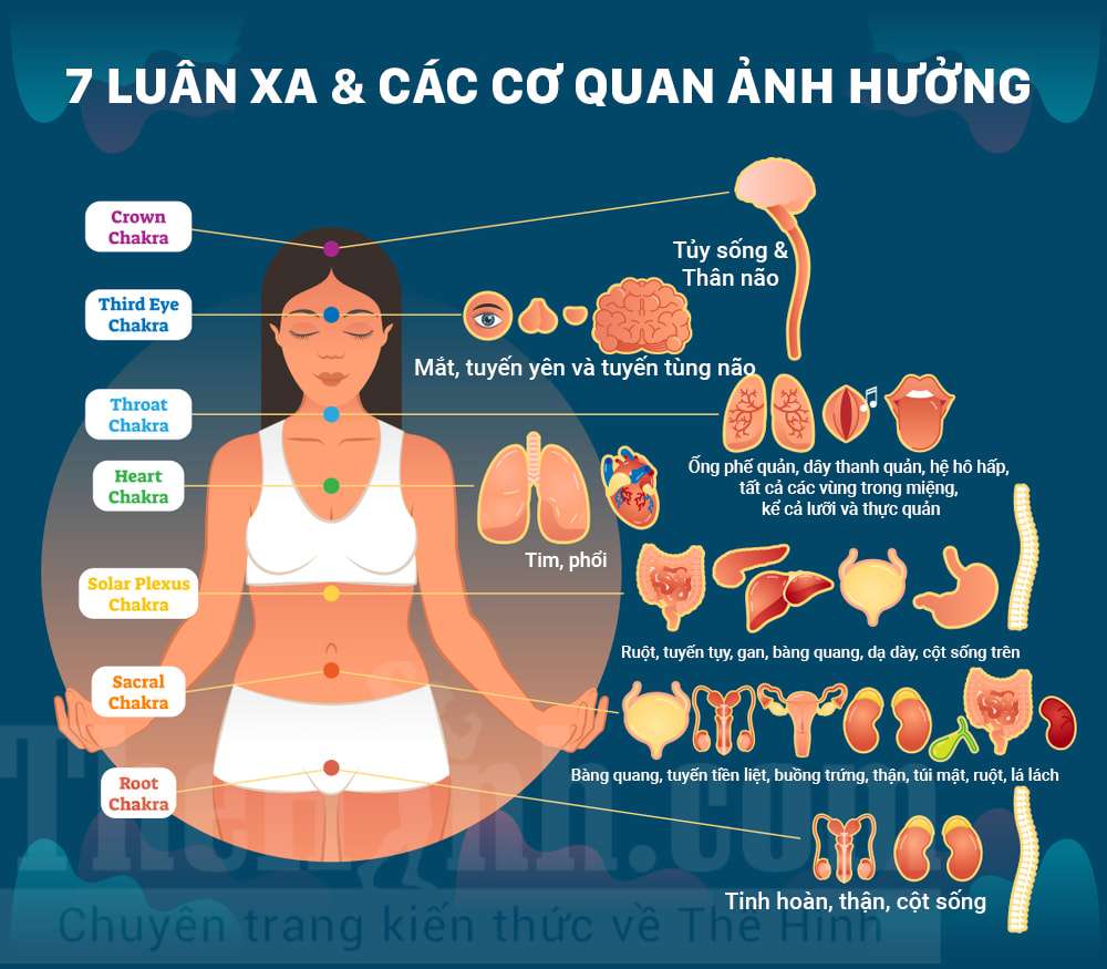 Luân xa (chakras) là gì ? Cách để kích hoạt 7 Luân xa trên cơ thể