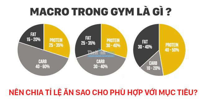 Macro trong gym là gì ? Cách tính macro trong gym như thế nào ?