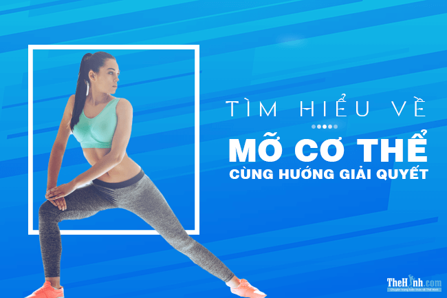 Mỡ cơ thể | Phân biệt các loại mỡ thừa và nơi tìm thấy chúng