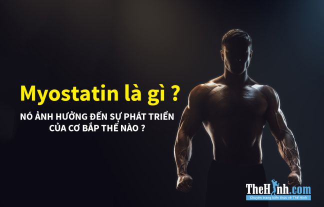 Myostatin là gì ? Căn bệnh mà gymer nào cũng muốn được mắc phải!