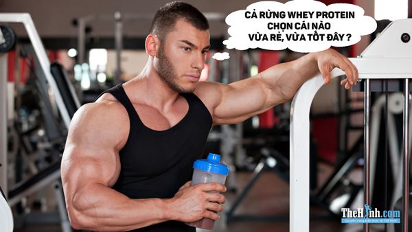 Nên chọn Whey Protein nào để phù hợp nhu cầu và kinh tế nhất ?