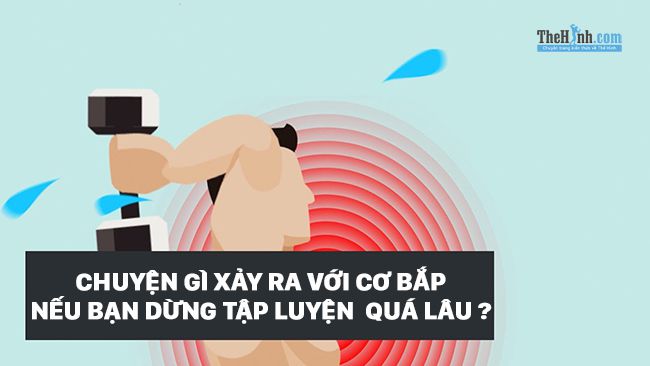 Nếu không tập thể dục thì cơ bắp sẽ như thế nào ?