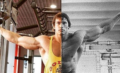 Nổi tiếng sau một đêm nhờ giống “Kẻ hủy diệt” Arnold Schwarzenegger