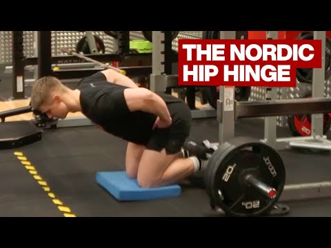 Nordic Hamstring Curl – Bài tập đùi sau siêu khó không phải ai cũng làm được