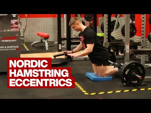 Nordic Hamstring Curl – Bài tập đùi sau siêu khó không phải ai cũng làm được