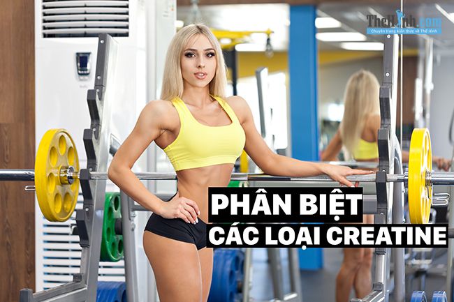 Phân biệt các loại Creatine Monohydrate, ưu – nhược điểm từng loại