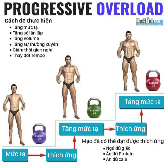 Progressive Overload là gì? Một kỹ thuật tăng cơ bạn cần biết