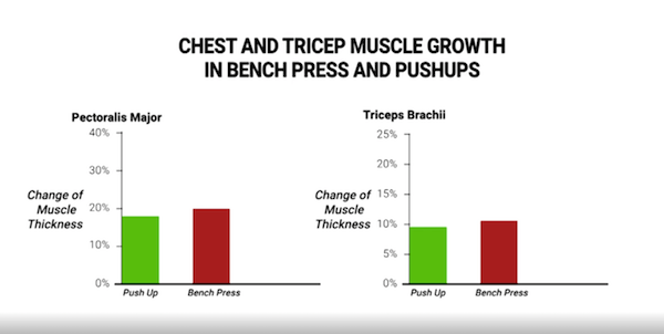 Push-ups: Cách tập để cơ ngực phát triển hoàn hảo