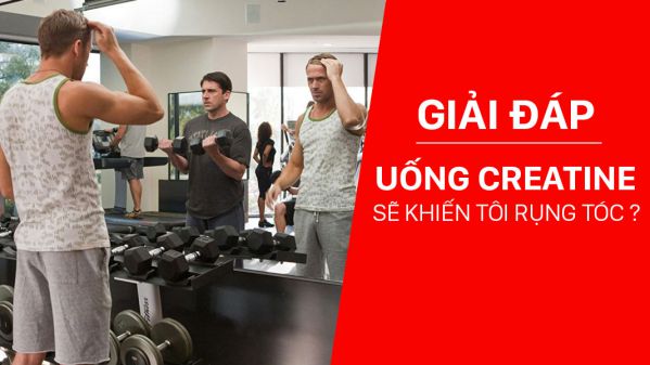 Rụng tóc ở nam giới khi tập gym là do dùng Creatine ?