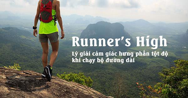 Runner’s High – Lý giải cảm giác hưng phấn khi chạy bộ đường dài