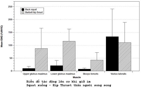 Squat và Hip Thrust – Cách tăng vòng 3 tự nhiên nào nhanh nhất