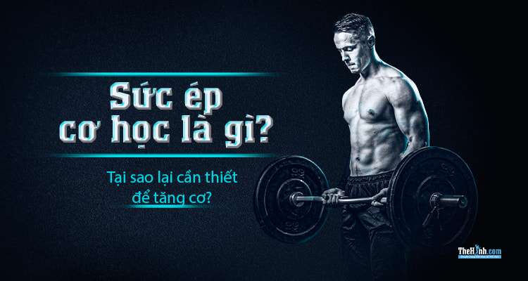 Sức ép cơ học là gì ? Làm sao để tăng cơ hiệu quả nhất?