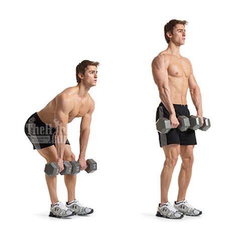 Tập cơ đùi sau với Dumbbell Stiff Leg Deadlift