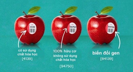 Thực phẩm biến đổi gen là gì ? Lợi và hại cùng cách nhận biết ra sao ?