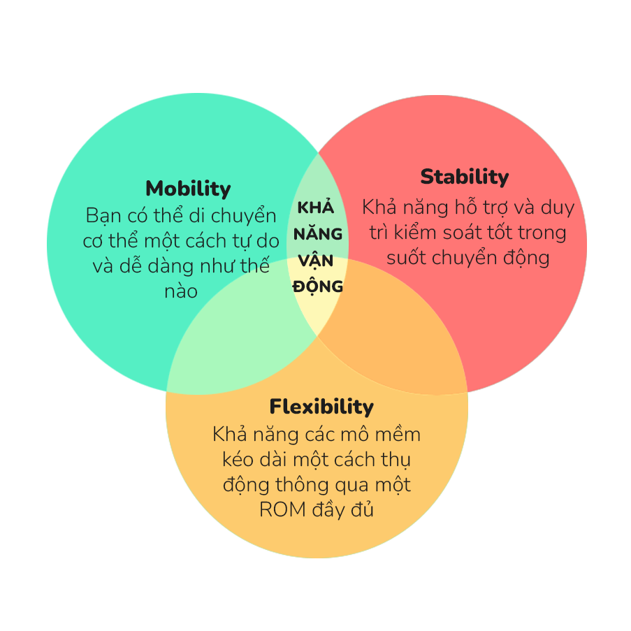 Tìm hiểu về Mobility, Stability, Flexibility và Extensibility trong tập gym