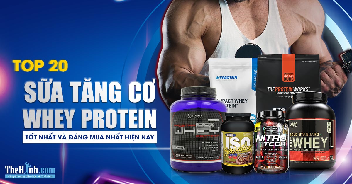 Top 20 sữa tăng cơ Whey Protein tốt nhất và đáng mua nhất hiện nay