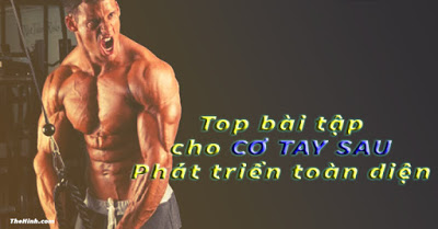 Top bài tập cho cơ tay sau (Triceps) cắt nét, to khỏe và giảm mỡ