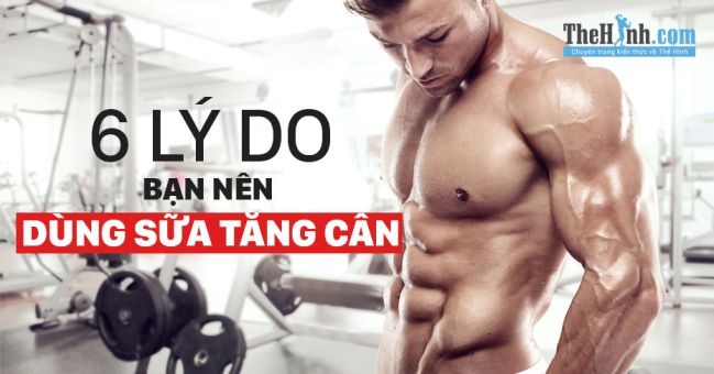 Bạn nên uống sữa tăng cân cho người gầy tập gym vì 6 lý do này