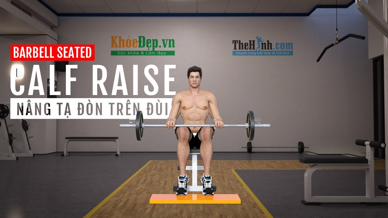 Barbell Seated Calf Raise – Bài tập bắp chuối to và hiệu quả nhất