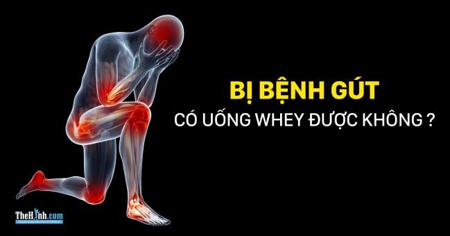 Bị bệnh gút có nên dùng Whey Protein không, Whey có khiến tôi bị Gút ?