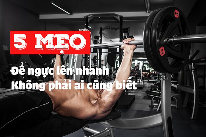 Cách tập cơ ngực vuông cho nam hiệu quả mà gymer cần phải biết