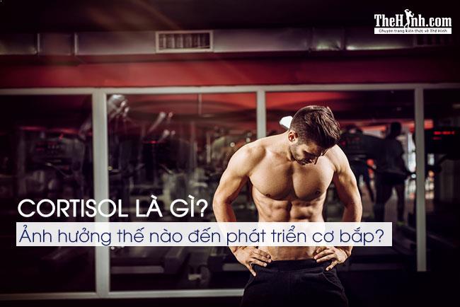 Cortisol là gì ? Cortisol ảnh hướng đến phát triển cơ và giảm mỡ ra sao ?