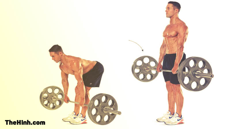 Deadlift – Bài tập đùi sau và lưng dưới tuyệt vời nhất