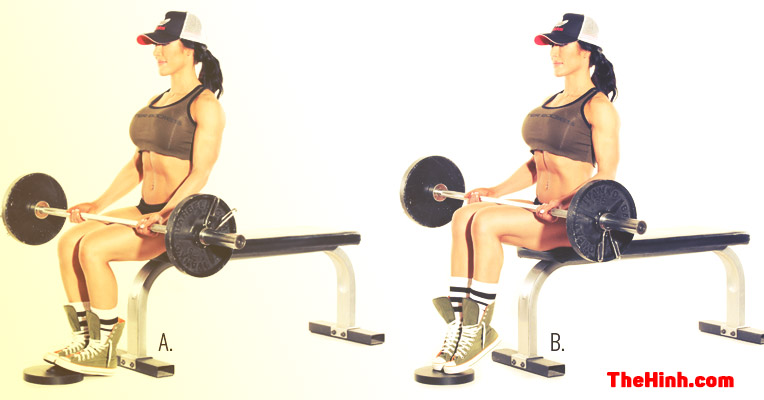 Dumbbell Seated Calf Raise – Ngồi nhón chân có tạ trên đùi