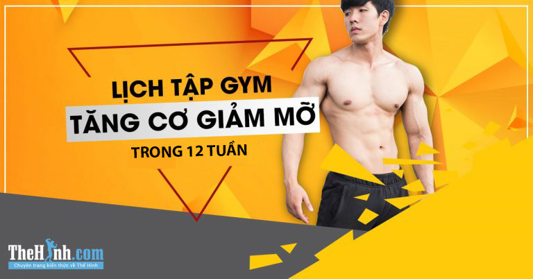 Giáo án tập gym giảm cân trong 12 tuần – Tổng quan về lịch tập