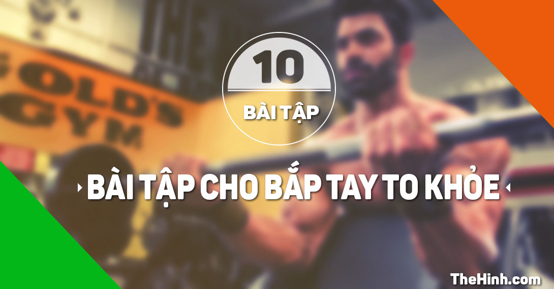 Top 10 bài tập cho bắp tay trước to hiệu quả nhất