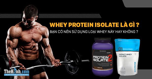 Whey Protein Isolate là gì ? Có nên lựa chọn để dùng cho tăng cơ