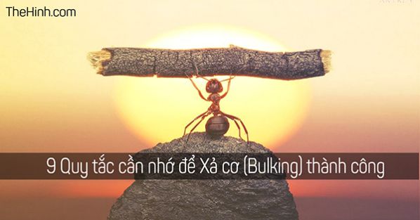 9 Quy tắc cần nhớ để xả cơ (Bulking) thành công