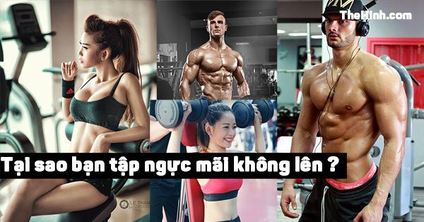 Tại sao tập ngực mà nó không phát triển lên chút nào ?