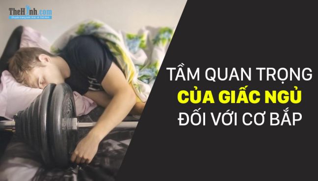 Tầm quan trọng của giấc ngủ đối với cơ bắp mà gymer chưa biết