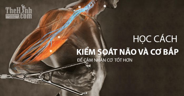 13 Bí kíp cảm nhận cơ bắp tốt hơn khi tập Gym không phải ai cũng biết