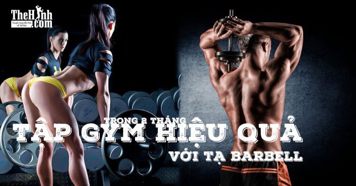 Lịch tập gym | Cách tập gym hiệu quả với tạ đòn (Barbell) trong 2 tháng