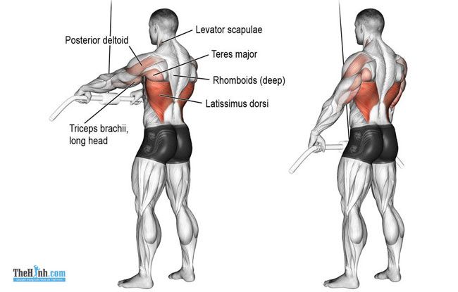 Straight-Arm Pulldown – Đứng tập lưng xô với máy kéo cáp