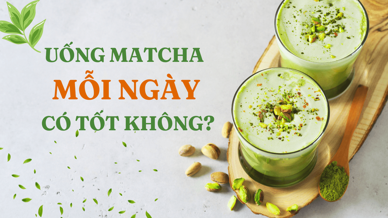Uống matcha mỗi ngày có tốt không? Một ngày uống bao nhiêu là đủ?