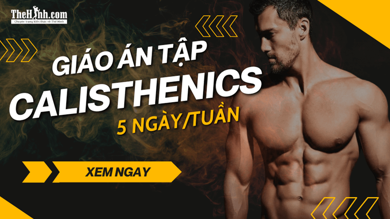 Giáo trình tập Calisthenics 5 ngày/tuần, hiệu quả ngay tại nhà [Mới Nhất]