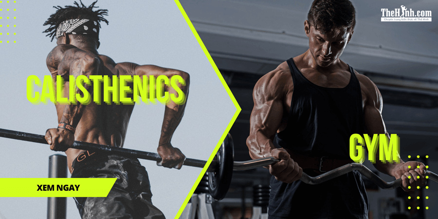 Nên tập Calisthenics hay Gym: Ưu – nhược điểm của từng bộ môn